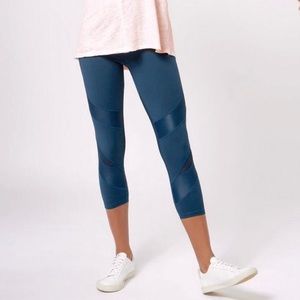 Power Wetlook Mesh Cropped Leggings